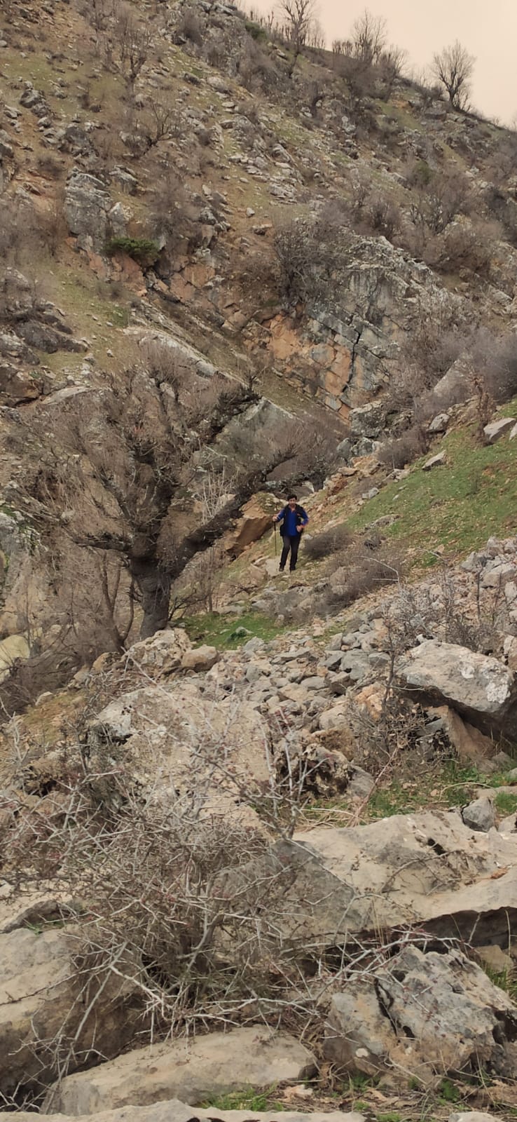 Şirvan'da Kaybolan 17 Yaşındaki Kız Bulundu