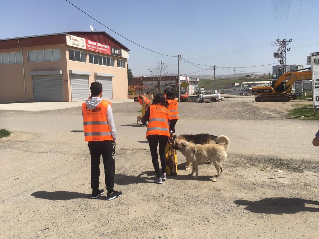 “Halkımız Sokak Canlılarını Unutmasın”