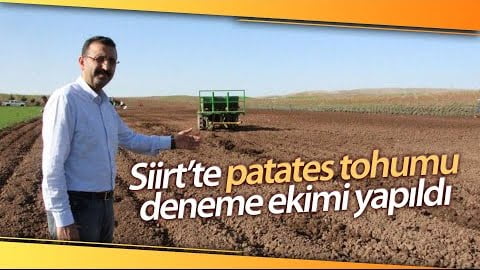 Siirt’te Patates Tohumu Deneme Ekimi Yapıldı