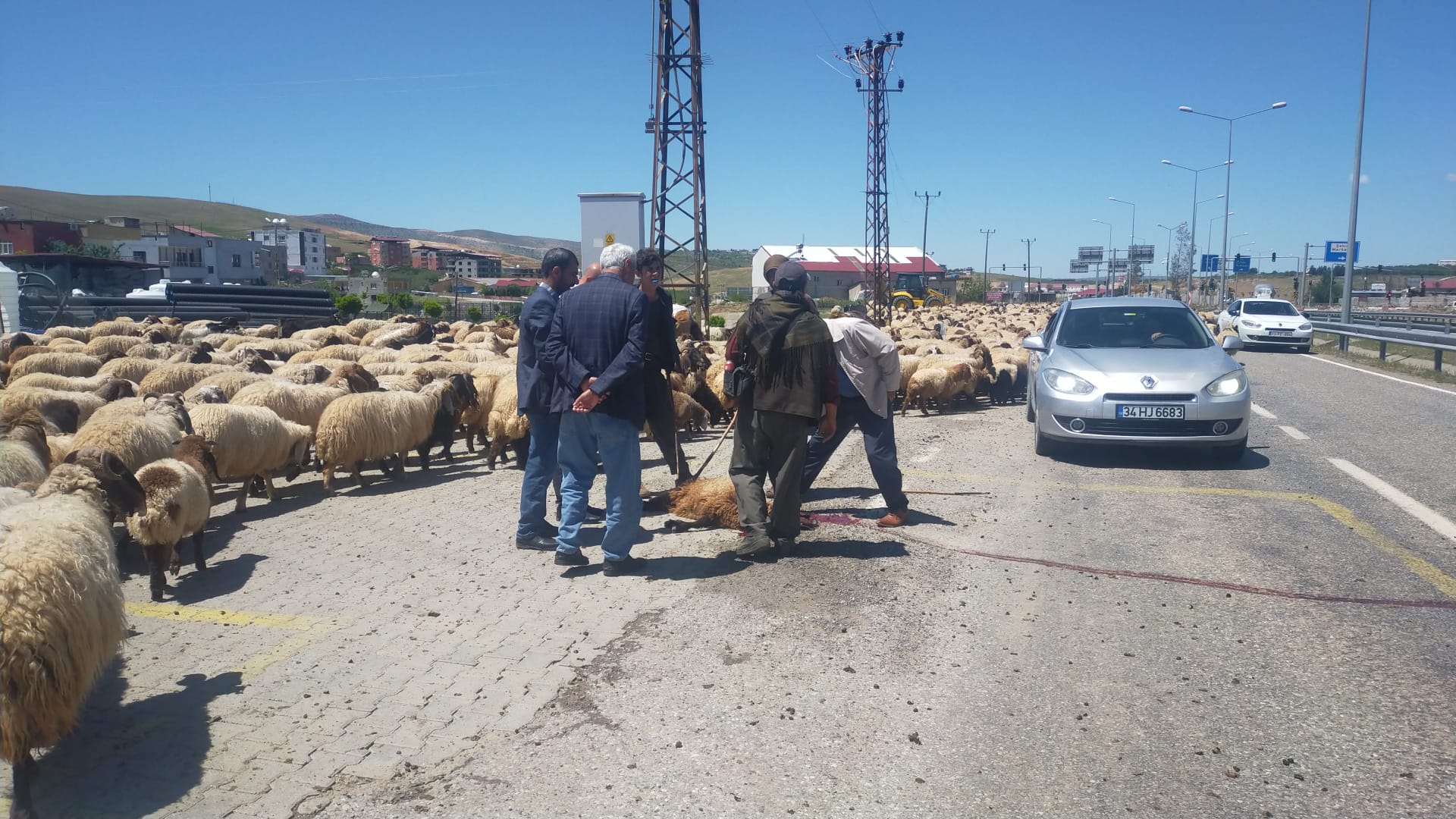 Siirt'te Yaylaya Çıkan Sürüye Tır Çarptı