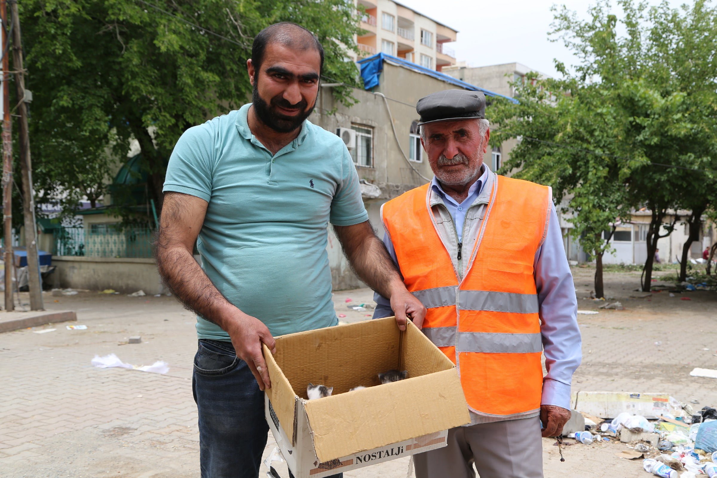 Siirt Semt Pazarının Kedileri Sahipsiz Kaldı