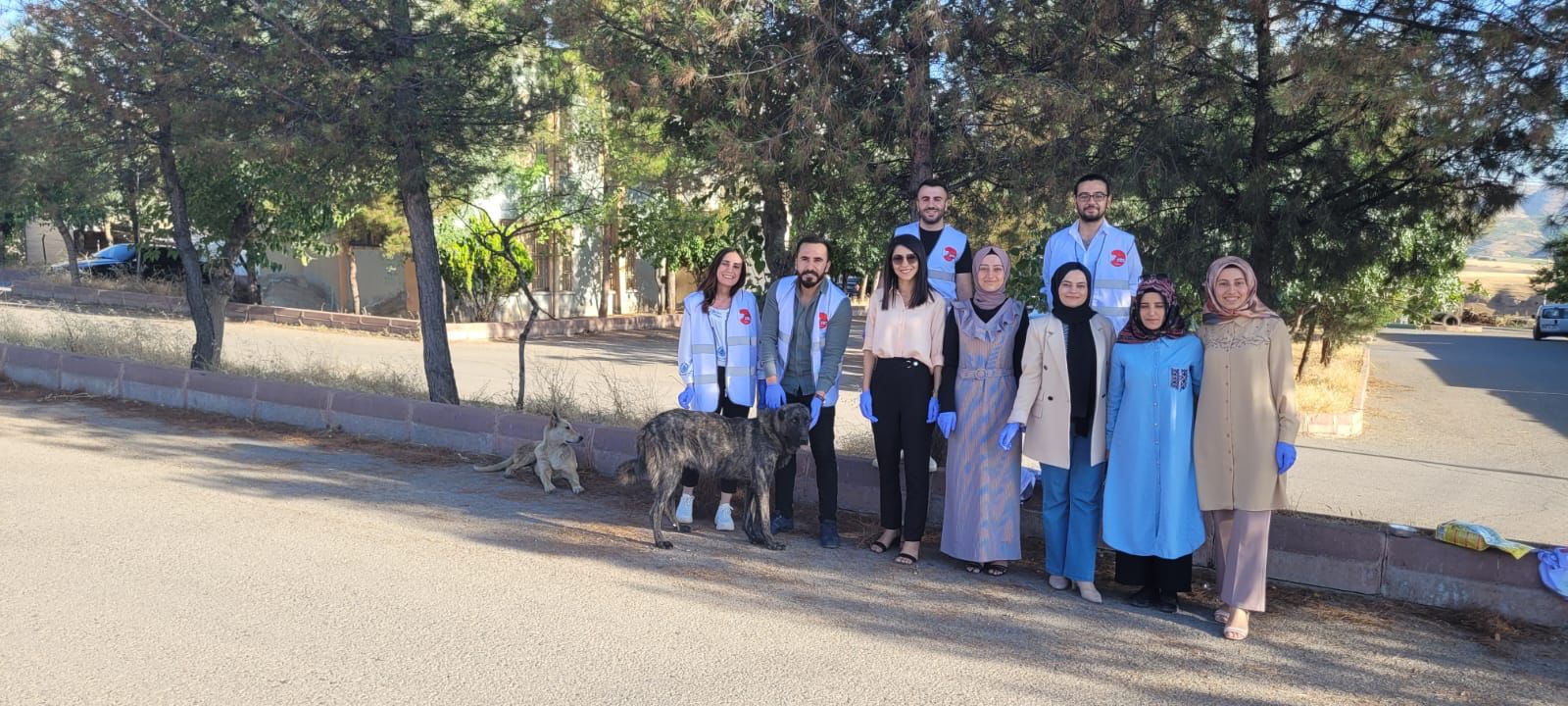 Siirt Barosu Sokak Hayvanlarını Unutmadı