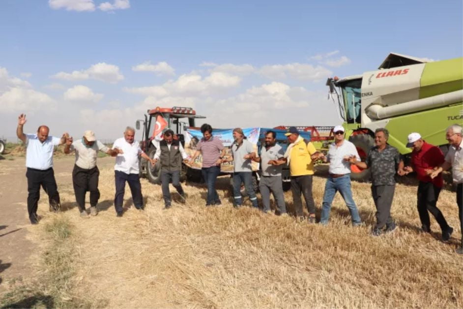 Garzan Ovası'nda buğday hasadı halaylarla başladı