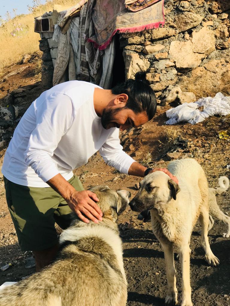 Siirt Sokak Canları Derneği Sahipsiz Köpekleri Tedavi Etti