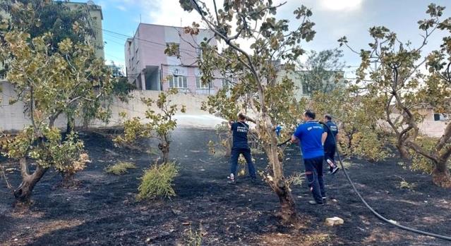 Siirt'te Mezarlıkta Çıkan Yangın Büyümeden Söndürüldü