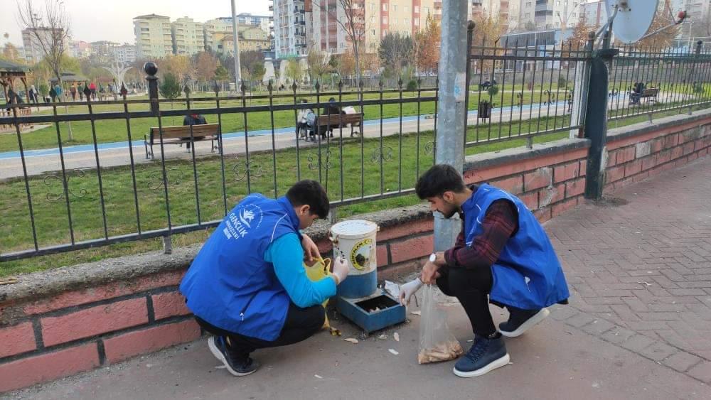 Kurtalan'da Öğrenciler Sokak Hayvanlarını Besledi