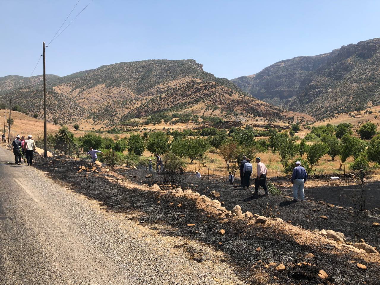 Anız Yangını Üzüm Bahçesine Sıçradı