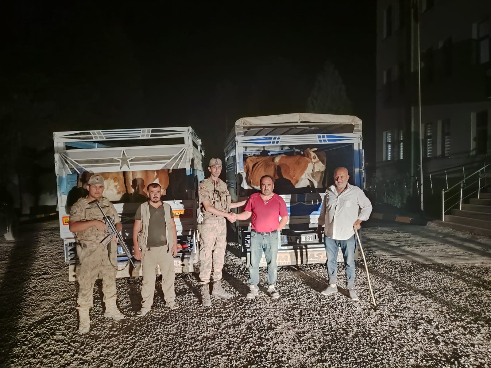 Siirt’te Büyükbaş Hayvan Çalan Hırsız Tutuklandı