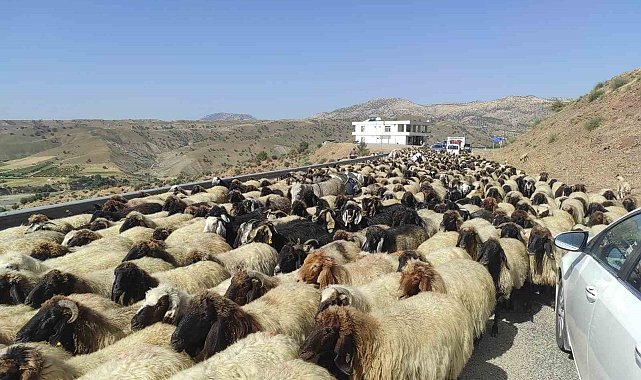 Yayla Sezonunu Kapatan Göçerler, 2 Ay Süren Yolculuğa Başladı