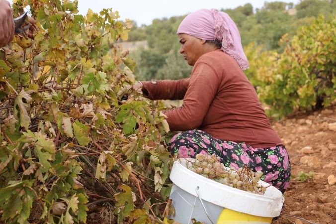 Mardin'de Kış Hazırlıklarında Sona Gelindi