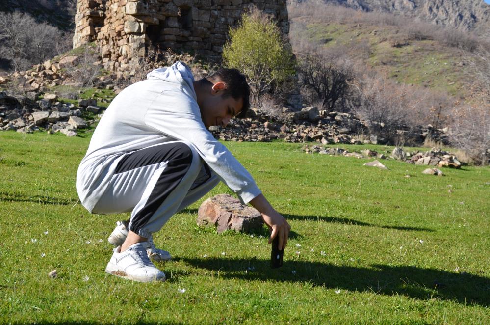 Yüksek Kesimlerde Kar Yağarken, Alçak Bölgelerde İse Çiçek Açtı