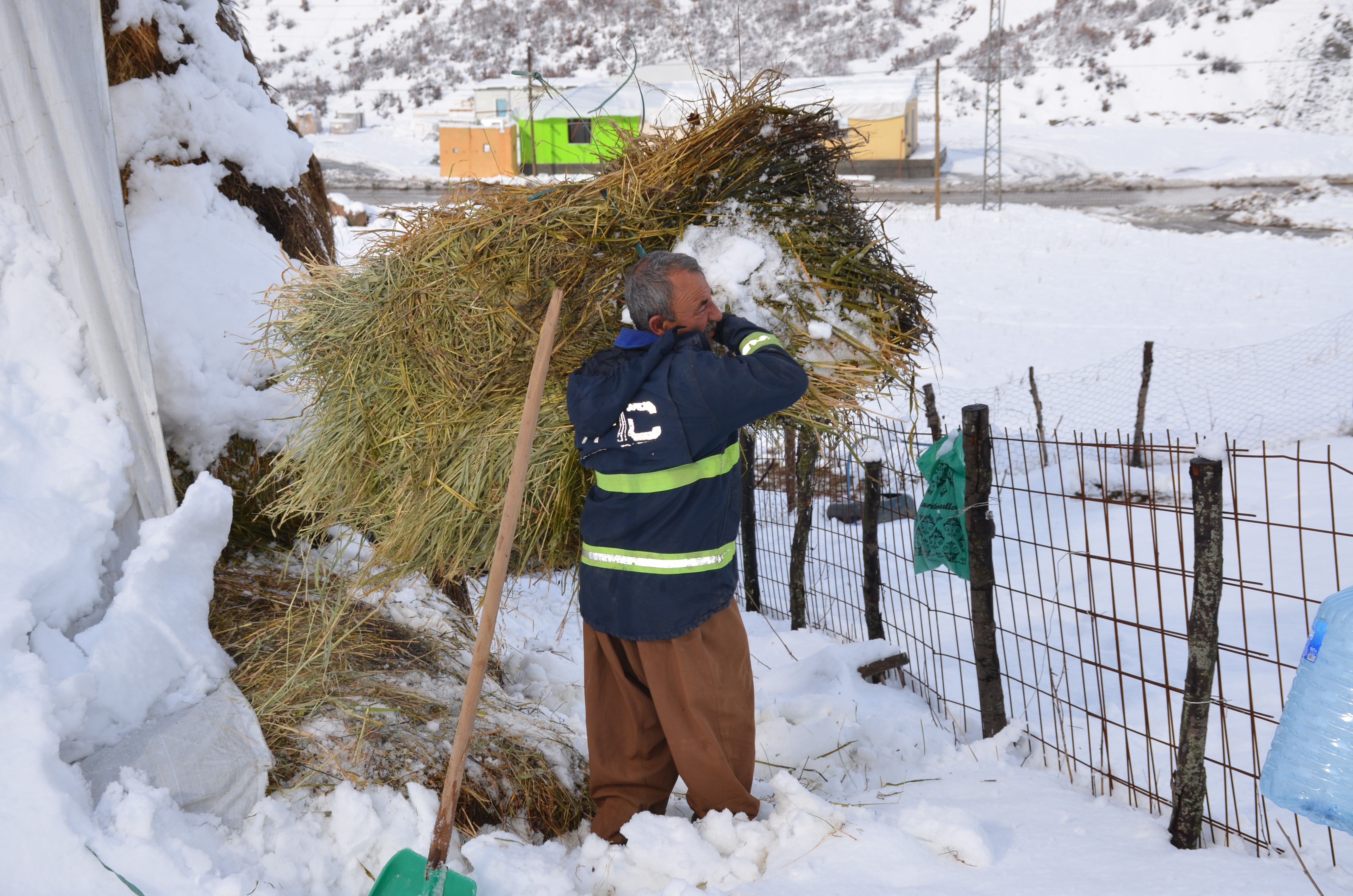 Kızak Yardımıyla Saman Balyalarını Taşıyıp Hayvanlarını Besliyor