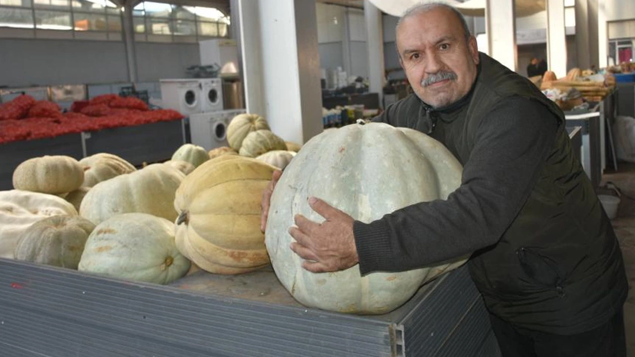 50 Kilogramlık Kabağın Kilosu 10 TL