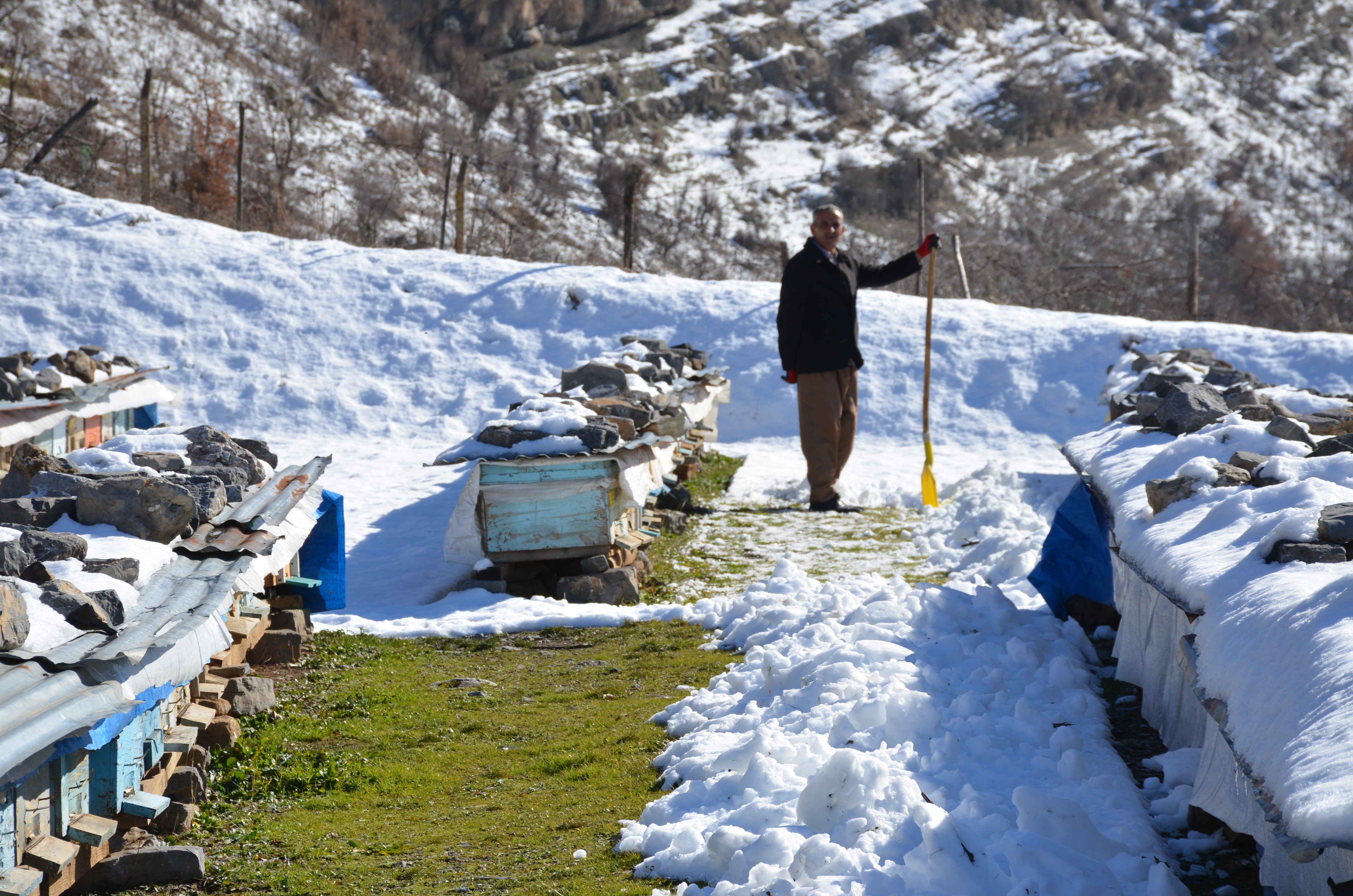 Şırnak'ta Arılar Kış Uykusunda Arıcılar Nöbette