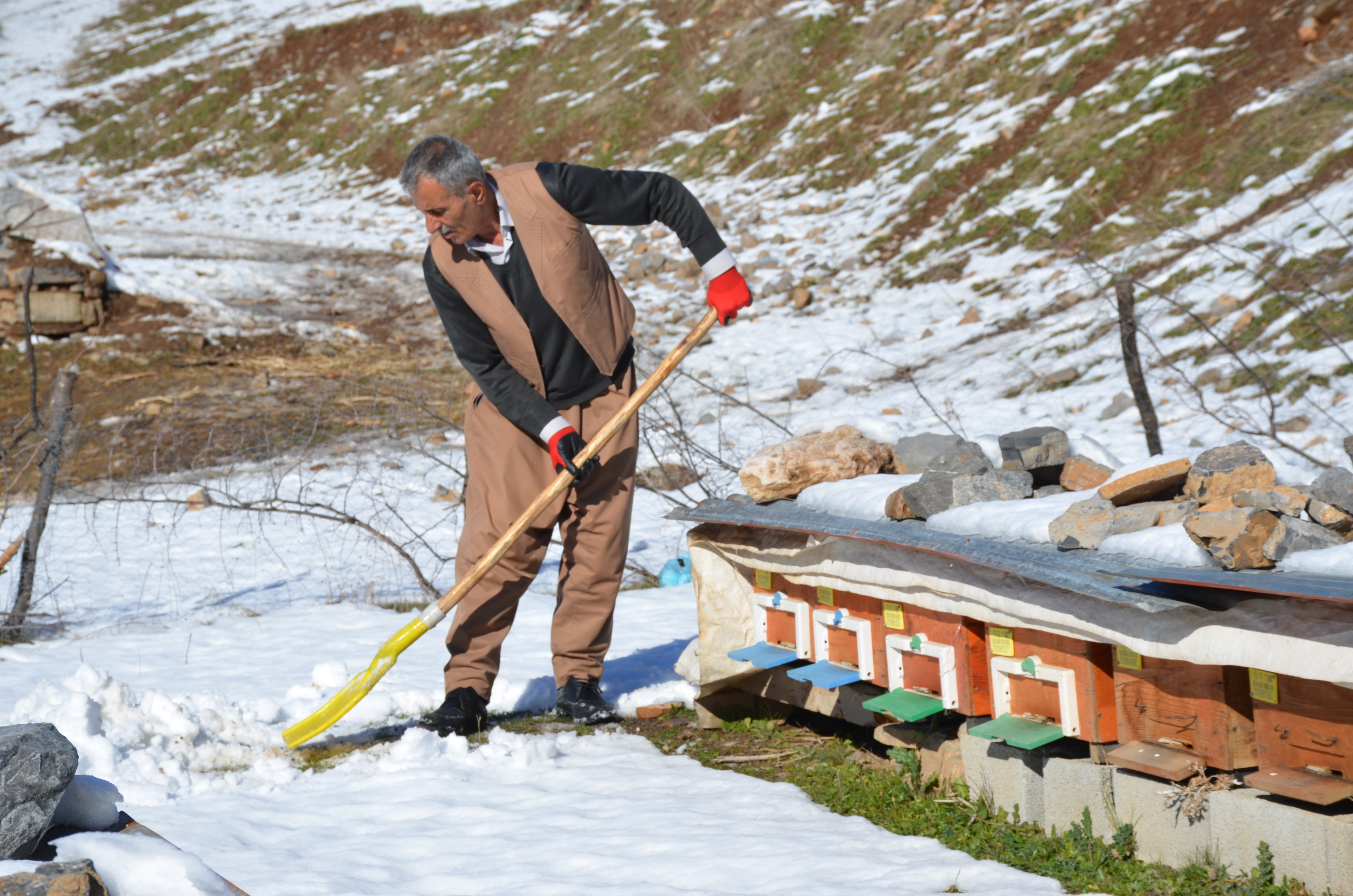 Şırnak'ta Arılar Kış Uykusunda Arıcılar Nöbette