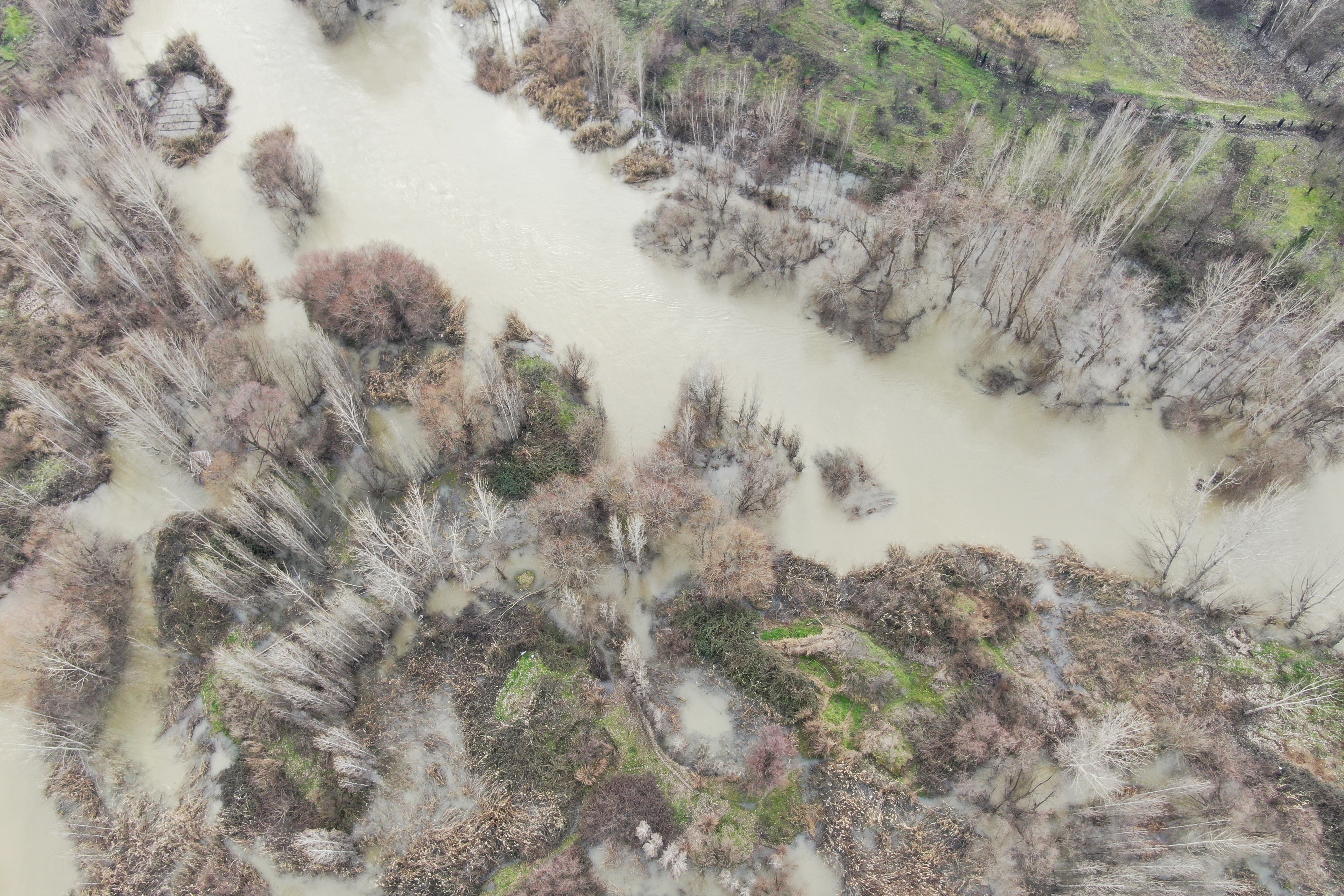 Dicle Nehri’nde Hayat Tehdit Altında