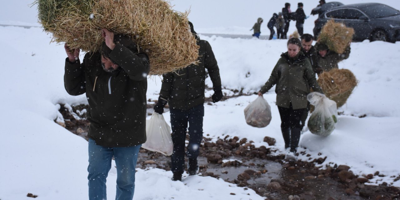 Şırnak’ta Yaban Hayvanları İçin Yem Taşıdılar