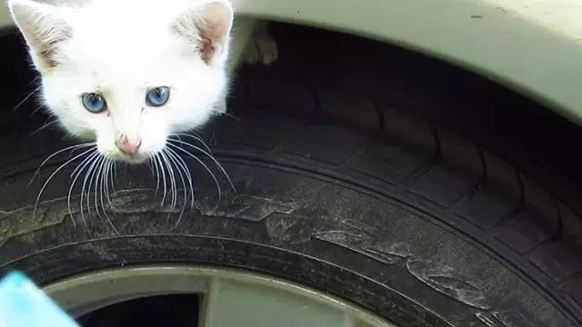 Kontağı Çevirmeden Kaputa Vurun