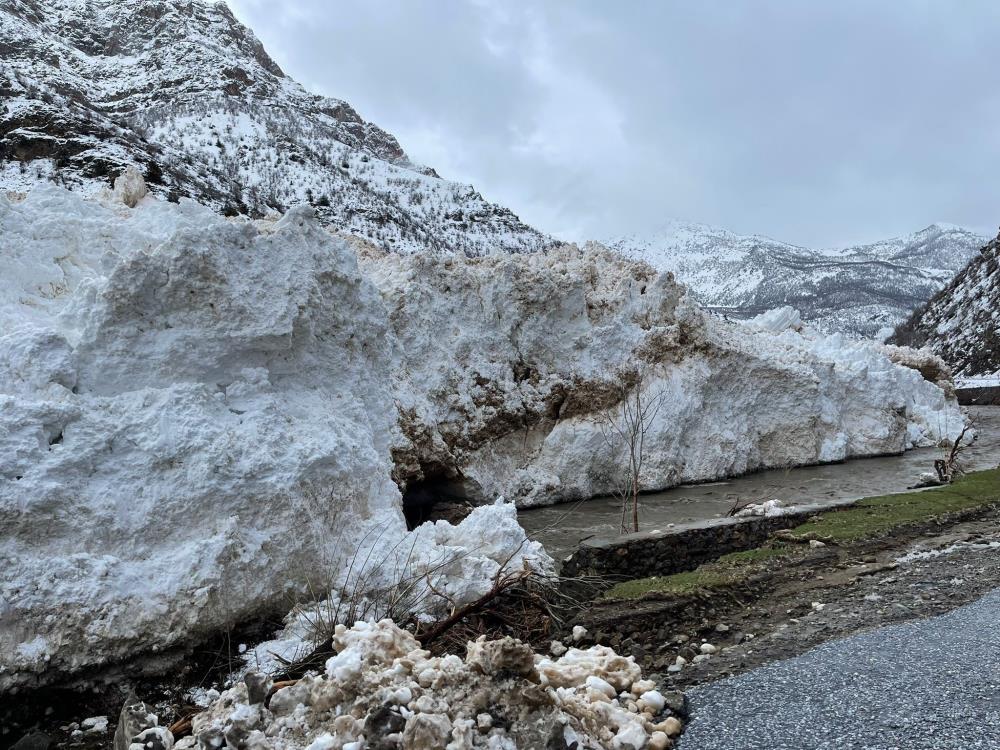 Pervari-Çatak Yolu Çığ Nedeniyle Ulaşıma Kapandı