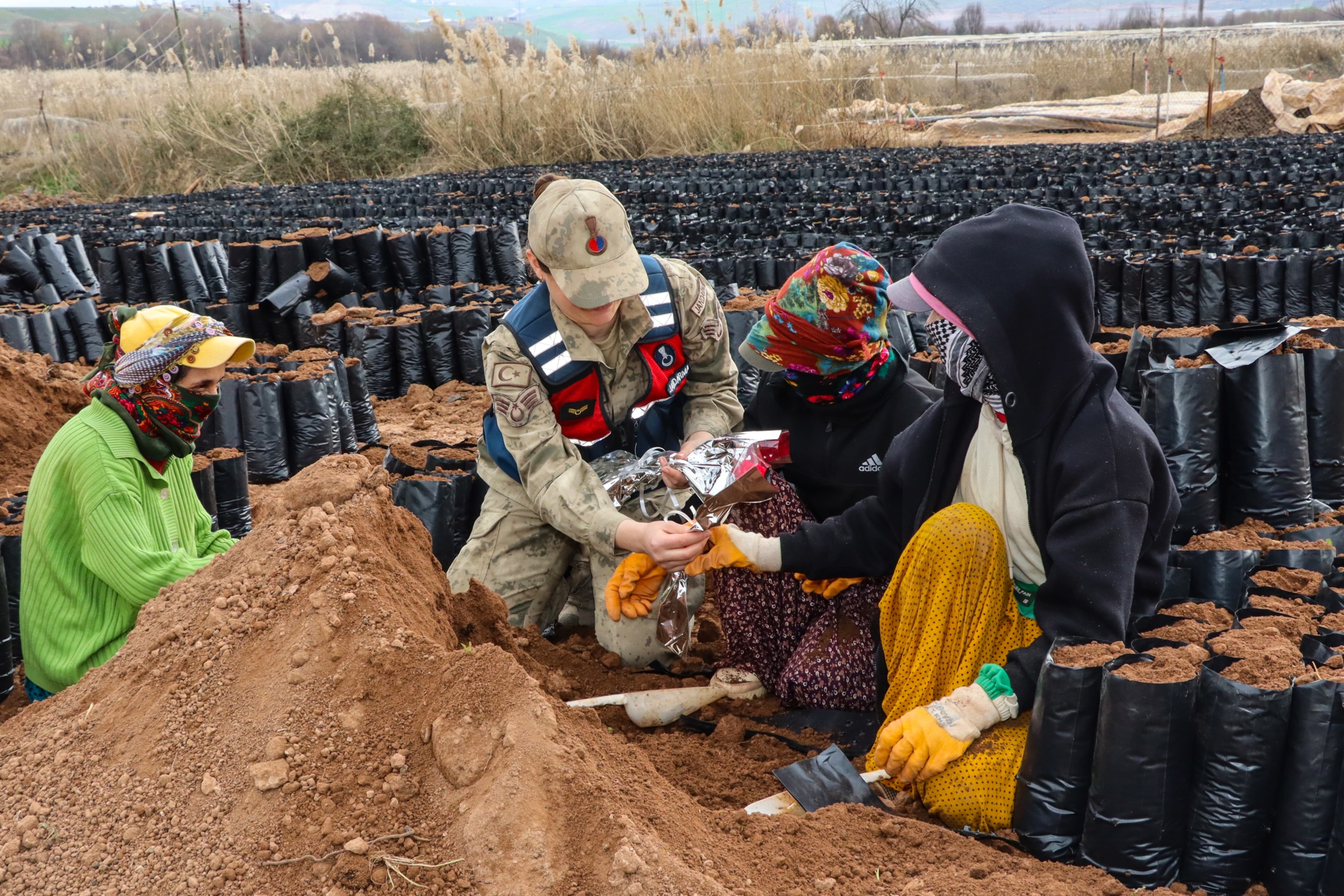 Siirt’te Anlamlı Kadınlar Günü Kutlaması