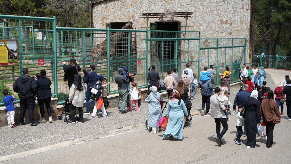 Vatandaşlar Bayramda Gaziantep Hayvanat Bahçesi'ne Akın Etti