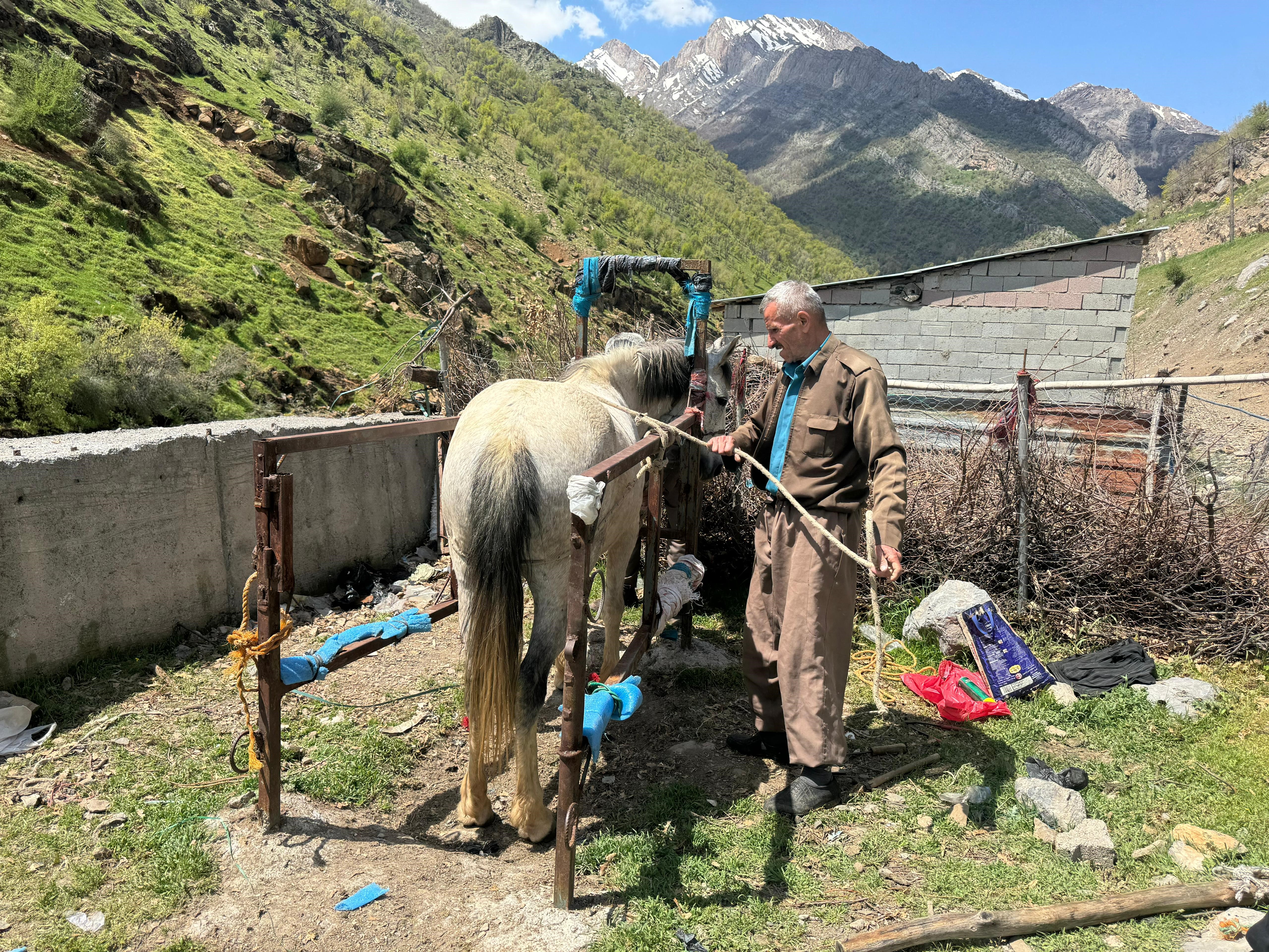 20 Yıldır At ve Katırların Ayak Bakımlarını Yapıyor