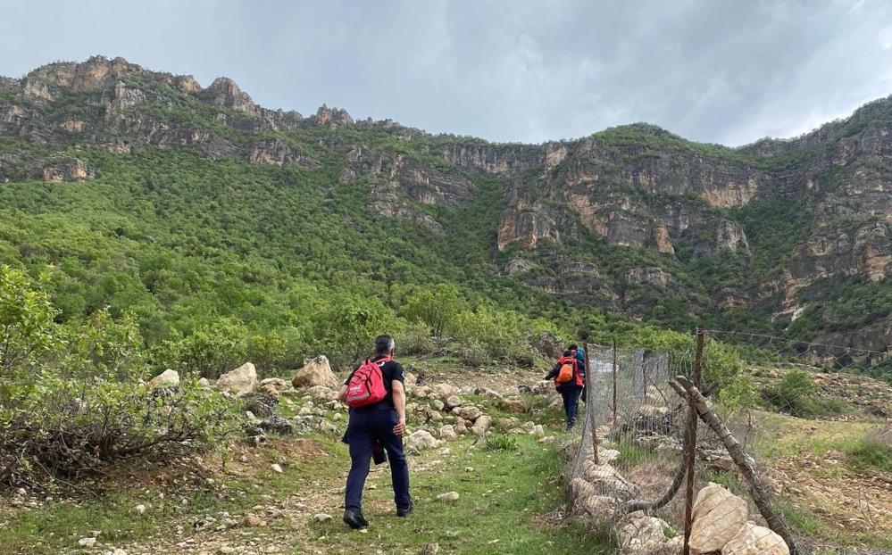 Siirt'te Soryaz Bitkisi Toplarken Uçuruma Düşen Kişi Hayatını Kaybetti