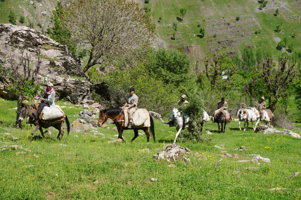 Vatandaşlar Dağlarda Yetişen Otları Toplamak İçin Akın Ediyor