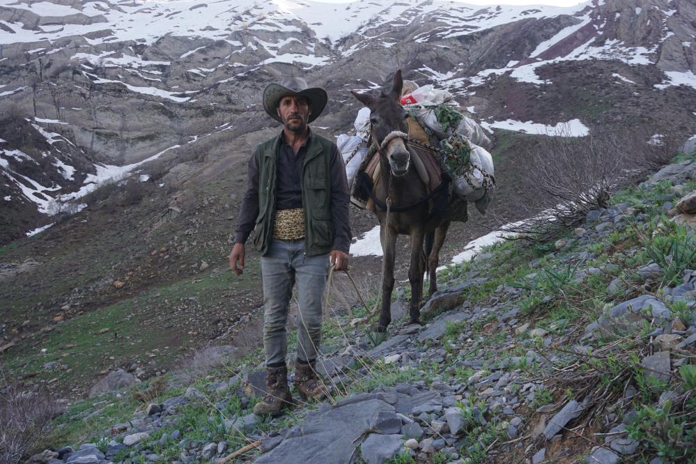 Vatandaşlar Dağlarda Yetişen Otları Toplamak İçin Akın Ediyor