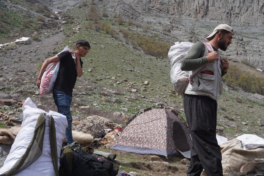 Vatandaşlar Dağlarda Yetişen Otları Toplamak İçin Akın Ediyor