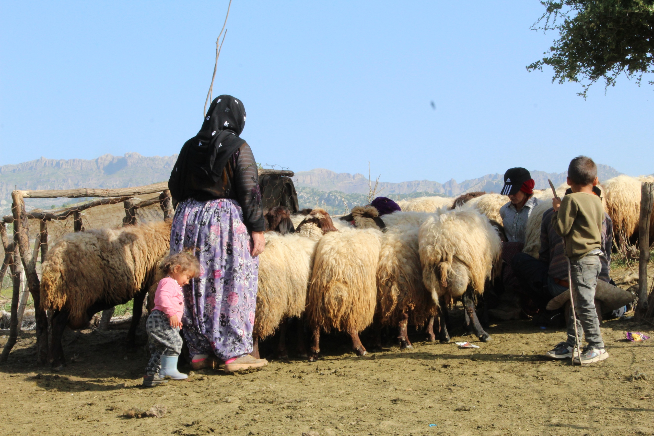 Göçerlerin Zorlu Yayla Yolculuğu Başladı