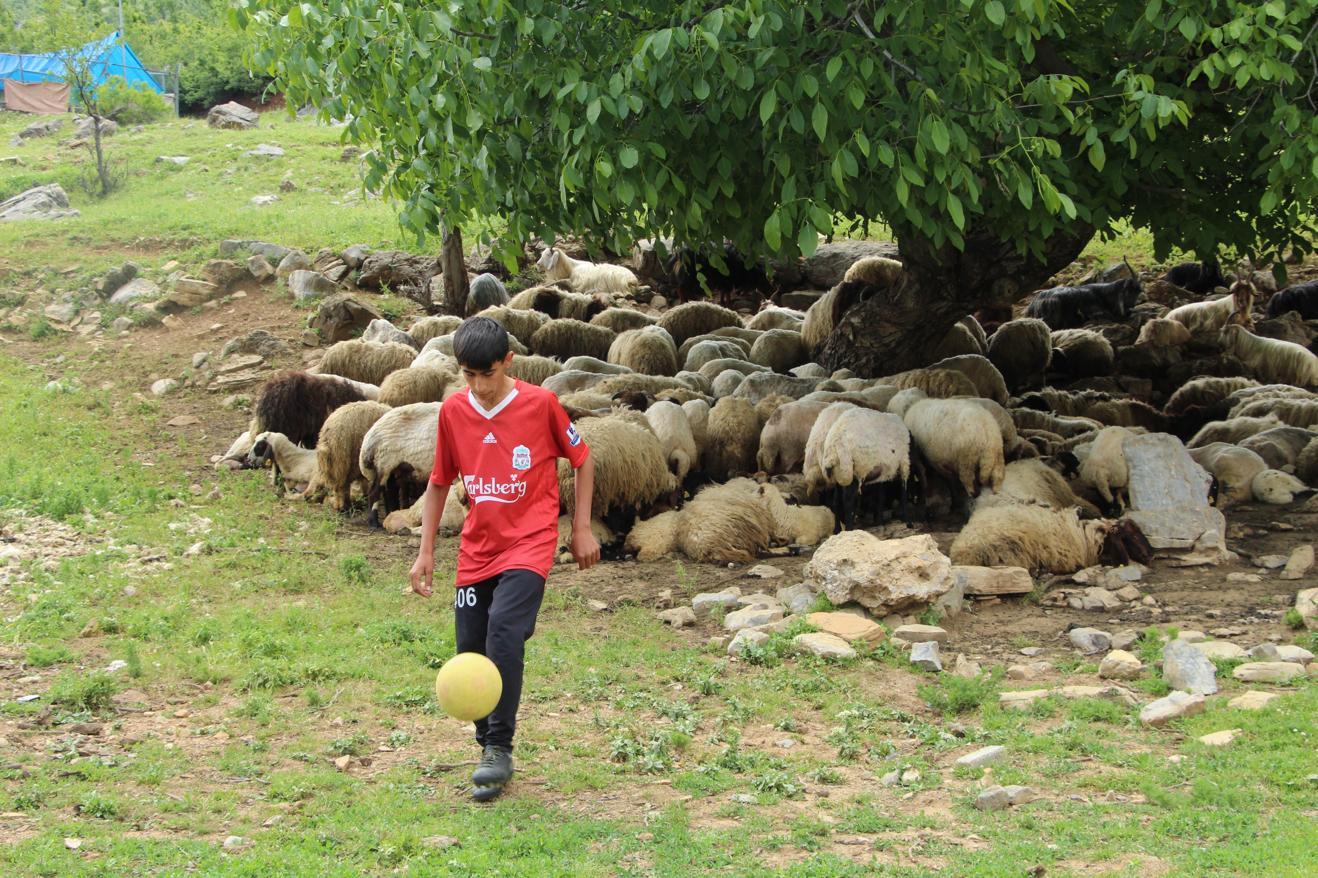 Hayali Futbolcu Olmak Olan Çoban Keşfedilmeyi Bekliyor