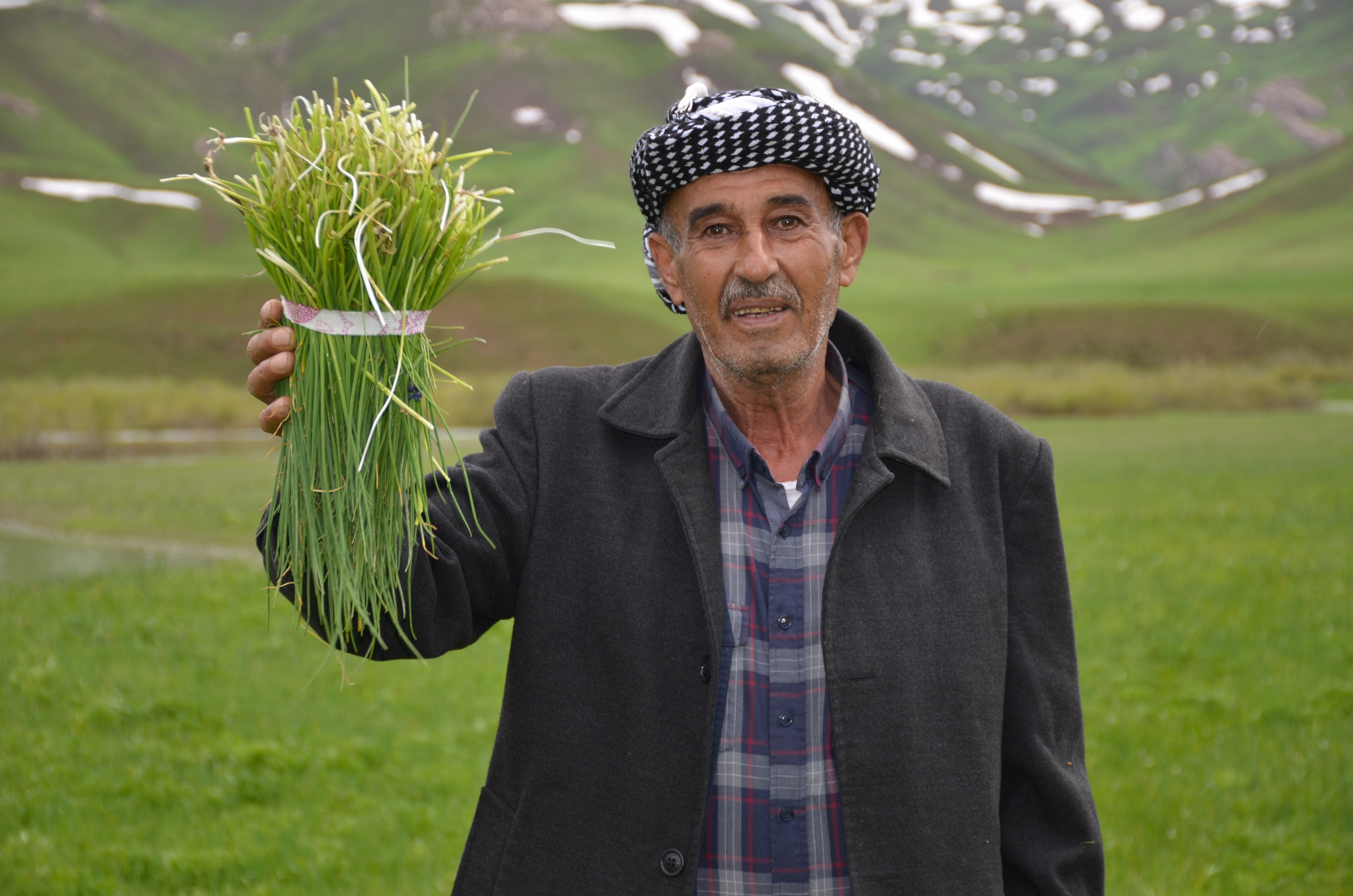 Şırnak'ta 'Sirik' Otu İçin 200 Kilometre Yol Gidiyorlar