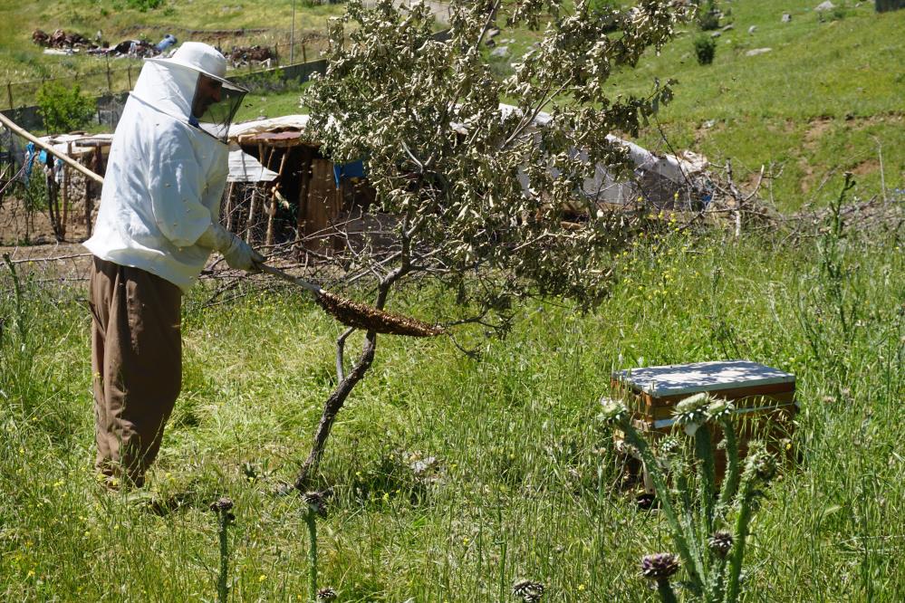 Arılar Kış Uykusundan Uyandı, Üretici Verimden Umutlu