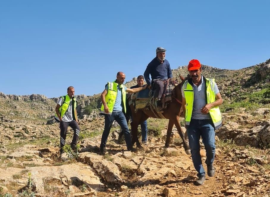 Siirt'te Dağ Başında Rahatsızlanan Çoban At Sırtında Ambulansa Ulaştırıldı