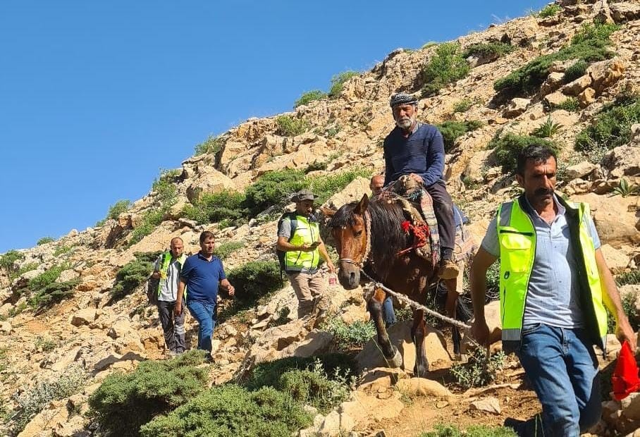 Siirt'te Dağ Başında Rahatsızlanan Çoban At Sırtında Ambulansa Ulaştırıldı