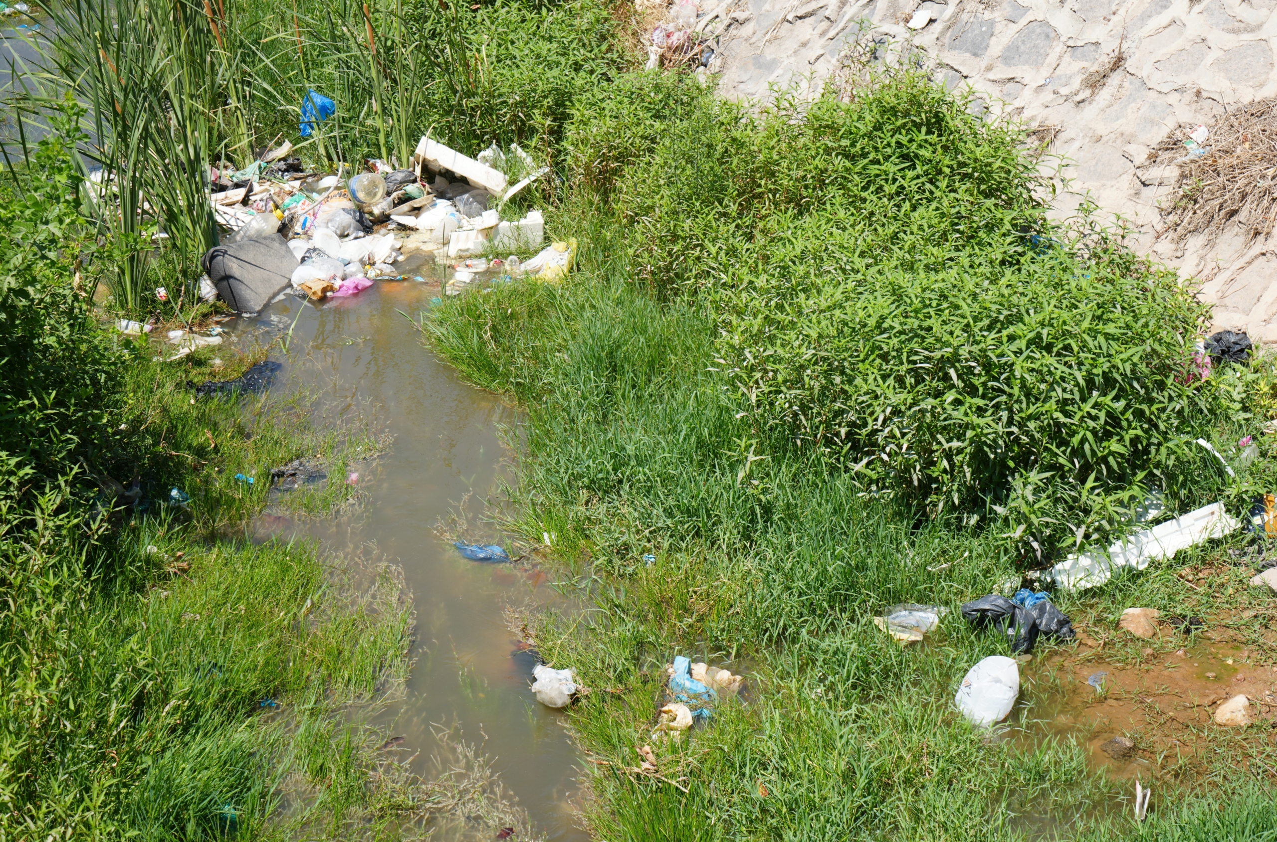 Temizlenmeyen Kanal Boyu Deresi Tehlike Saçıyor