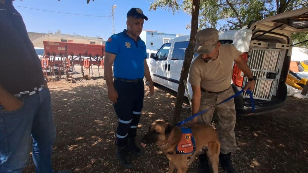 Diyarbakır’da Kayıp Kız, İz Takip Köpeği ve Dron Desteğiyle Aranıyor