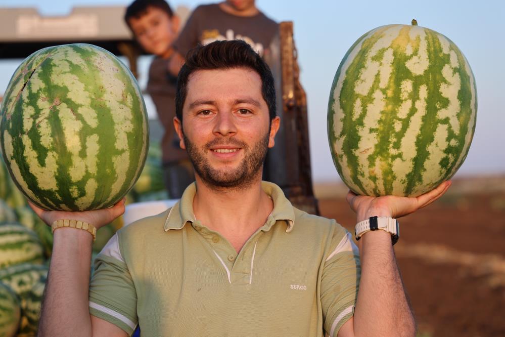 Üreticiler Karpuzda Beklediği Verimi Alamadı