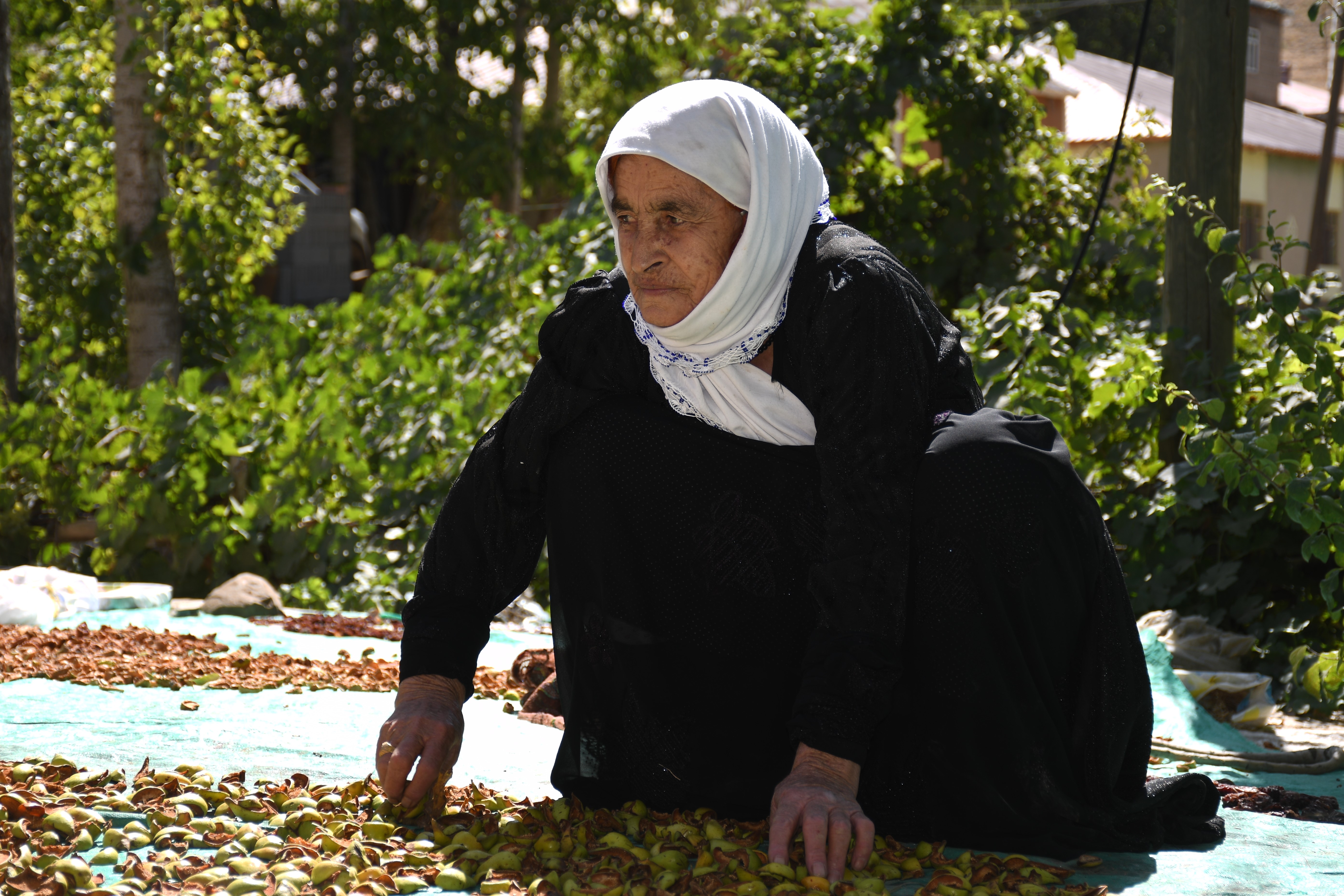 Evlerin Damları Kışlıklarla Doldu