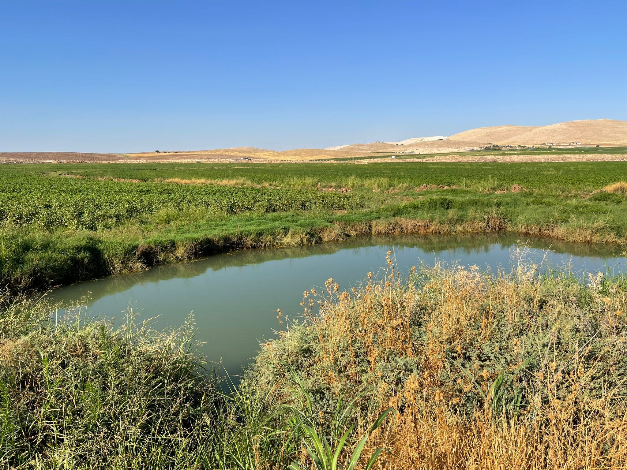 Harran Ovası'nda Oluşan Dev Obruklar Çiftçileri Korkutuyor