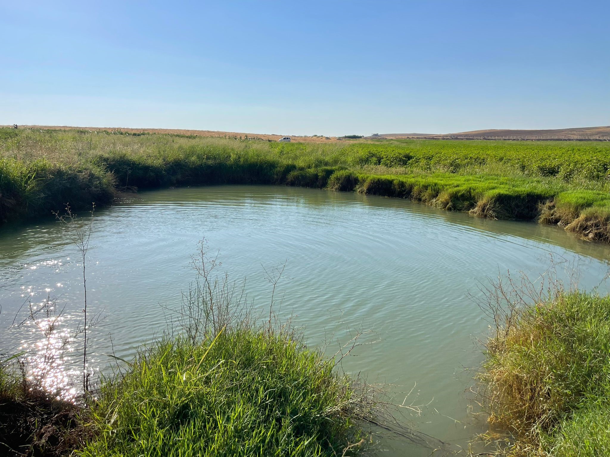 Harran Ovası'nda Oluşan Dev Obruklar Çiftçileri Korkutuyor