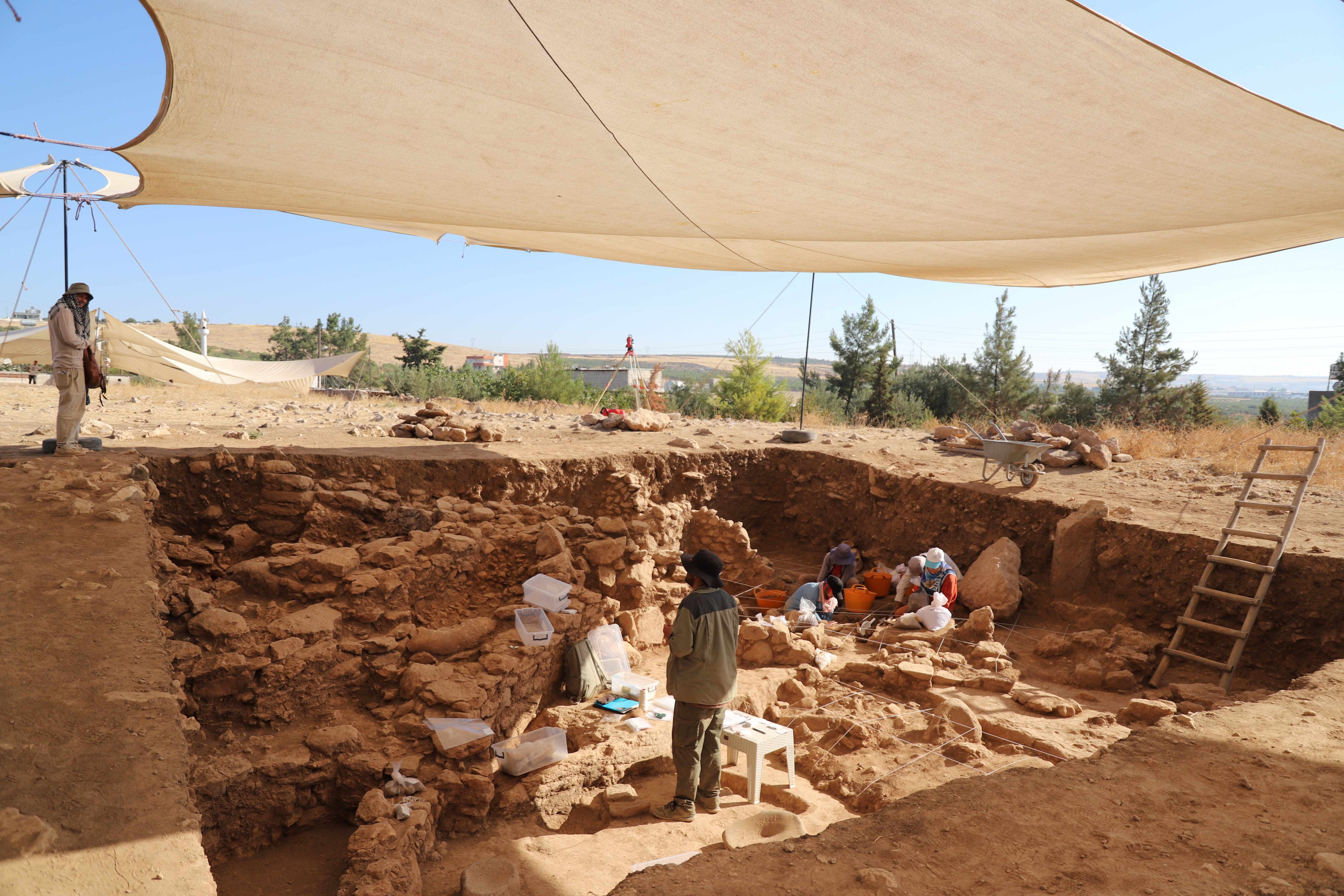 Şanlıurfa'da Göbeklitepe Kadar Eski Sayburç Ören Yeri'nde Kazı Çalışmaları Sürüyor