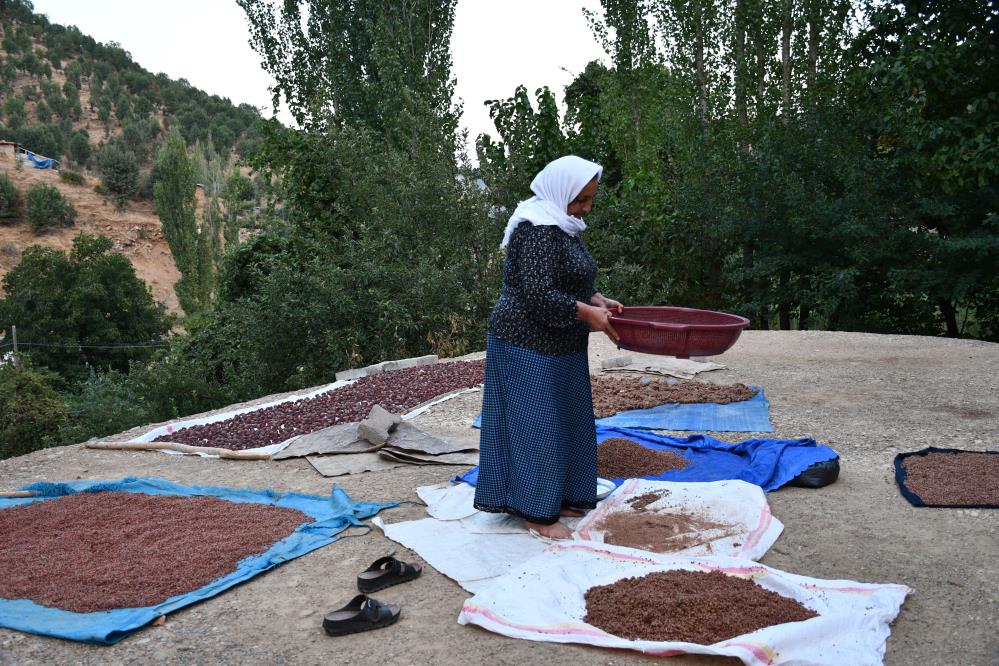 Şırnaklı Aile Sumak Satarak Geçimini Sağlıyor