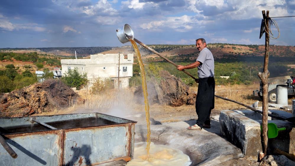 Bir Asırdır Geleneksel Yöntemlerle Pekmez Yapıyorlar