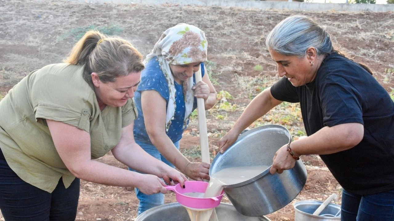 Bağ Bozumu Etkinliği