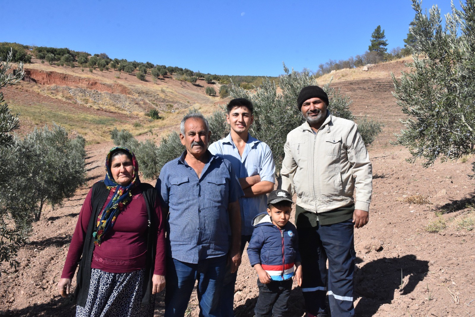 Zeytin Hasadı Başladı