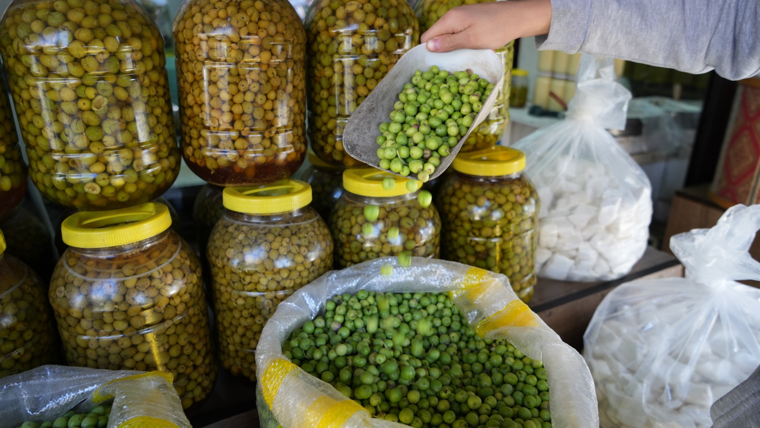 Yeşil Zeytinler Tezgaha İndi