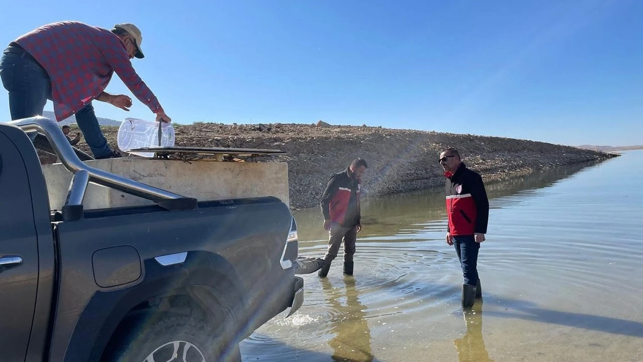 Şanlıurfa'da Üretilip Türkiye'ye Dağıtılıyor